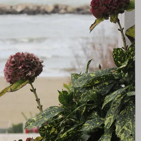 Sun Max- Vicino Al Mare Per Famiglie *