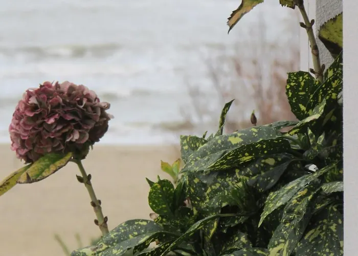 Sun Max- Vicino Al Mare Per Famiglie *